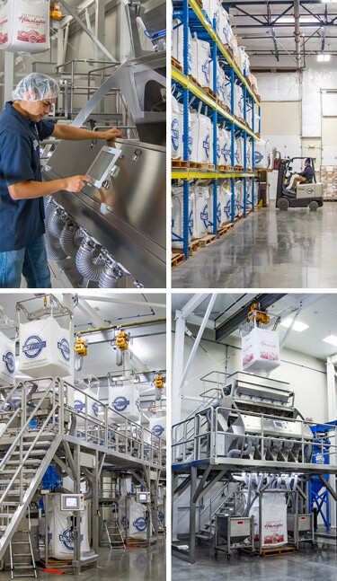 Various SaltWorks capabilities in a collage